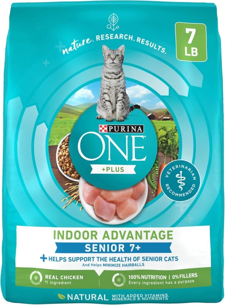 Senior Cats: 7 Ultimate Checklist For Best Care In 2026 5 817b1ATuStL. AC SL1500 toppicks home